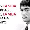luis053642