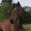 anna03422