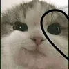 pitypro5