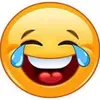 funny_pet083