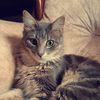 bibicha_gh2
