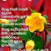 user7418394681442