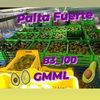 alen21021711