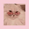 user1043582481177