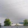 novi.triyanto8