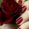 user4266276188127