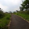 alikha.nayla.putr1