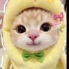 minie_1523