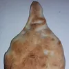 kkkdkjvj