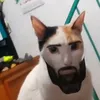joker_bochak