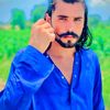 sharbat.khan699