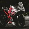 chaudhari_wild