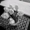 lo0vly_ra4