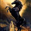blackhorse3737