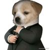 mr.dawg04