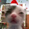 jstem_aye