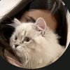 maham_709