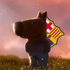 footballzady11