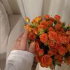 liil_f19
