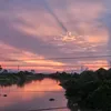 dtri_206