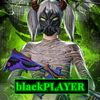 blackplayer_pabg