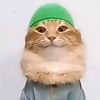 mo3o_556