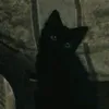 itzzdara_3