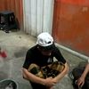 mujahidin344