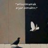 gizem.3466