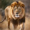 Wild Animal 988