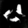 vvpers_