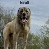 furkan.koca141632