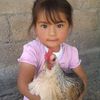 yamil_et12