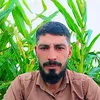 user33258476246975