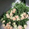 nour78741