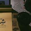 shiry_alonzi