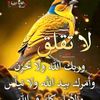 er6381831580739