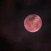 p_u_n_t_a_d_e_w_a