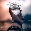 nahed.atef0