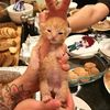 alguien.que.ama.alos.cat