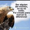 luis.diaz1540