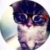 lis_szzs