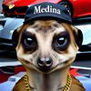 diego.medina675