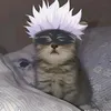 dangtukeprz