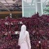 Safra Shra