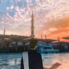 immuslim1391