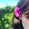 princesshu50