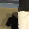 rinzz_z4