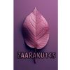zaaraku145