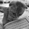uswa_ustadzah